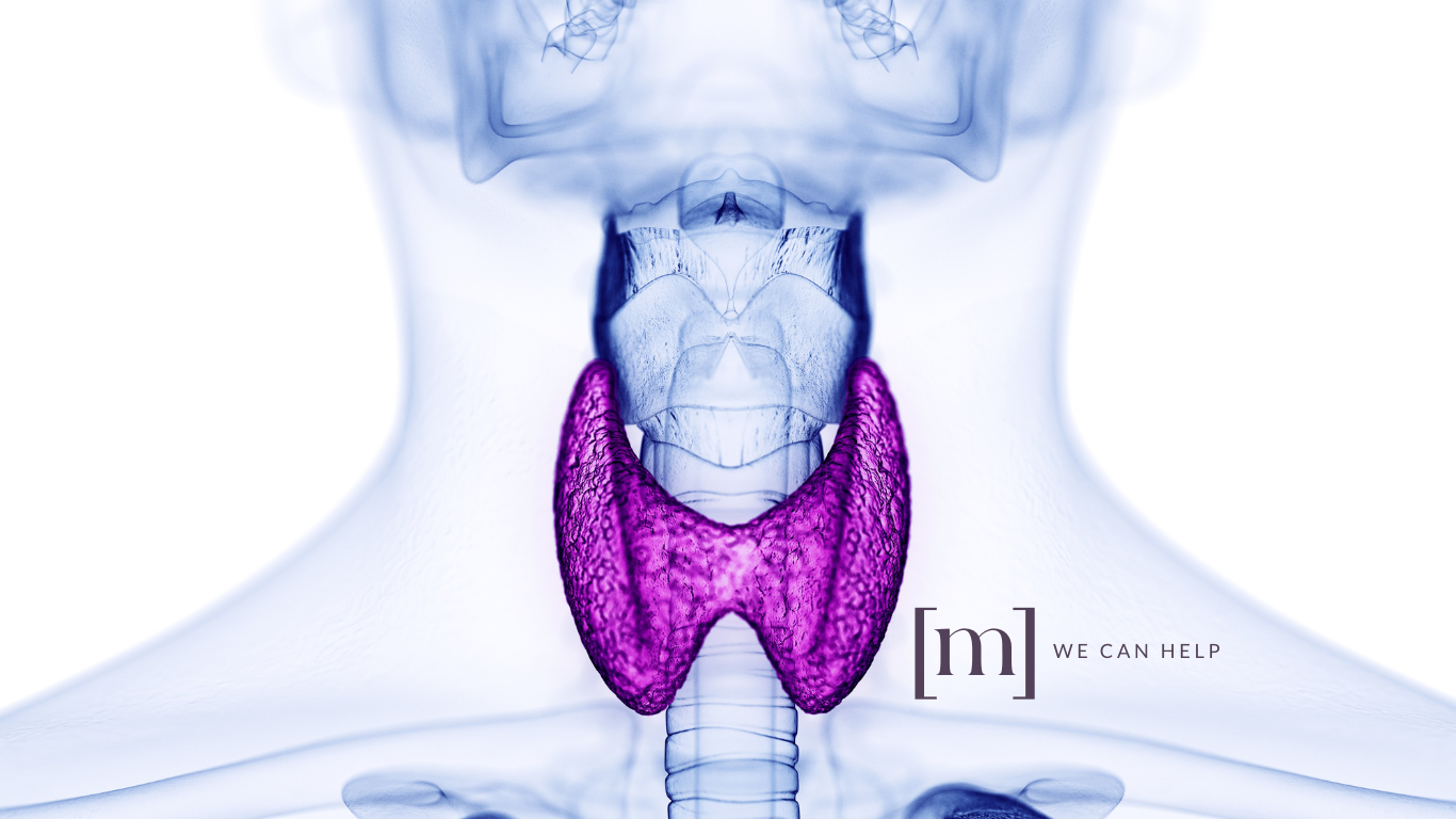Thyroid Storms Thyroid Specialist In Minneapolis Area Minnetonka Mn