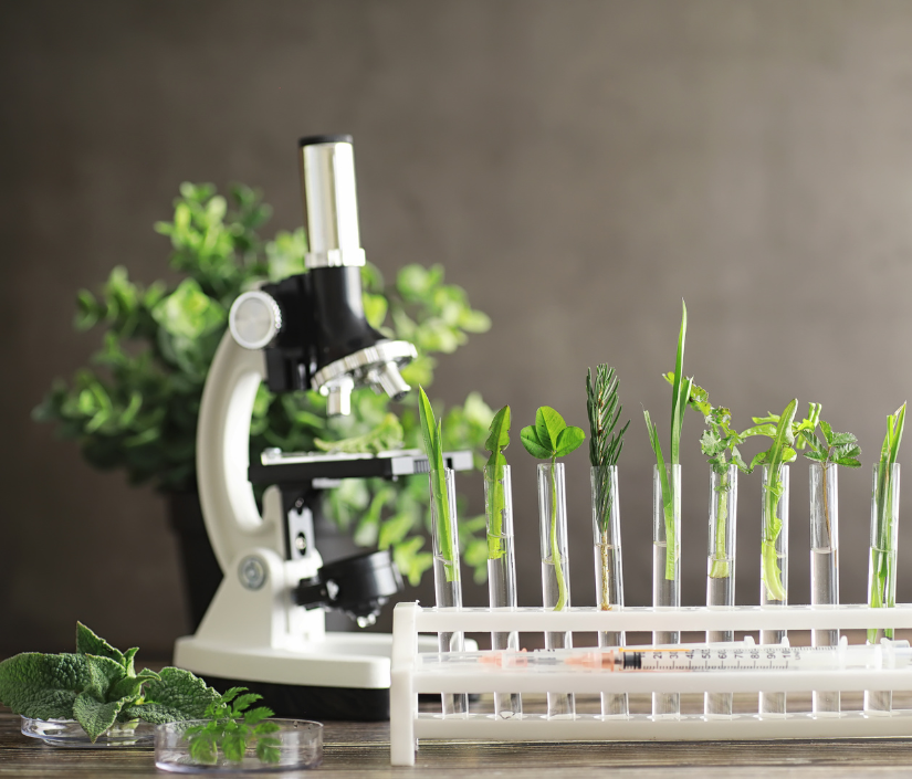 Food Intolerance and SensitivityTesting Minneapolis